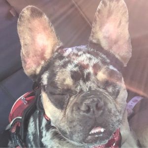 Meet your Posher, Dkf